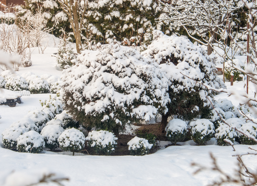 Top 10 Christmas gift ideas for the landscaper in your life