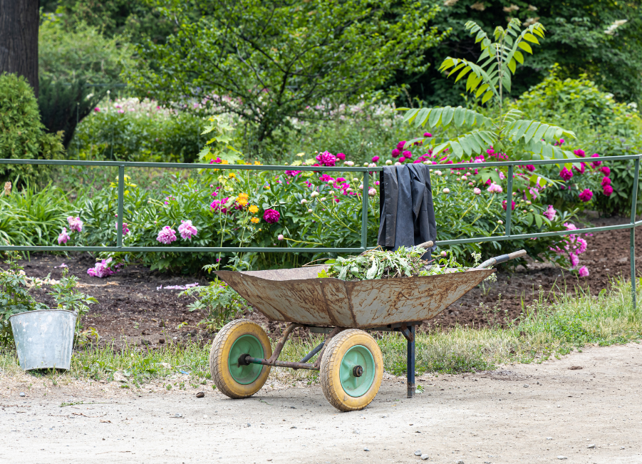 What is the Best Weed Control for Plant Beds?