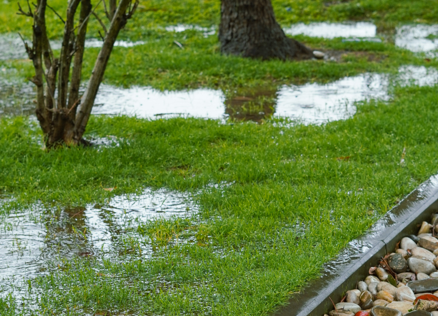 Waterlogging and how to solve it