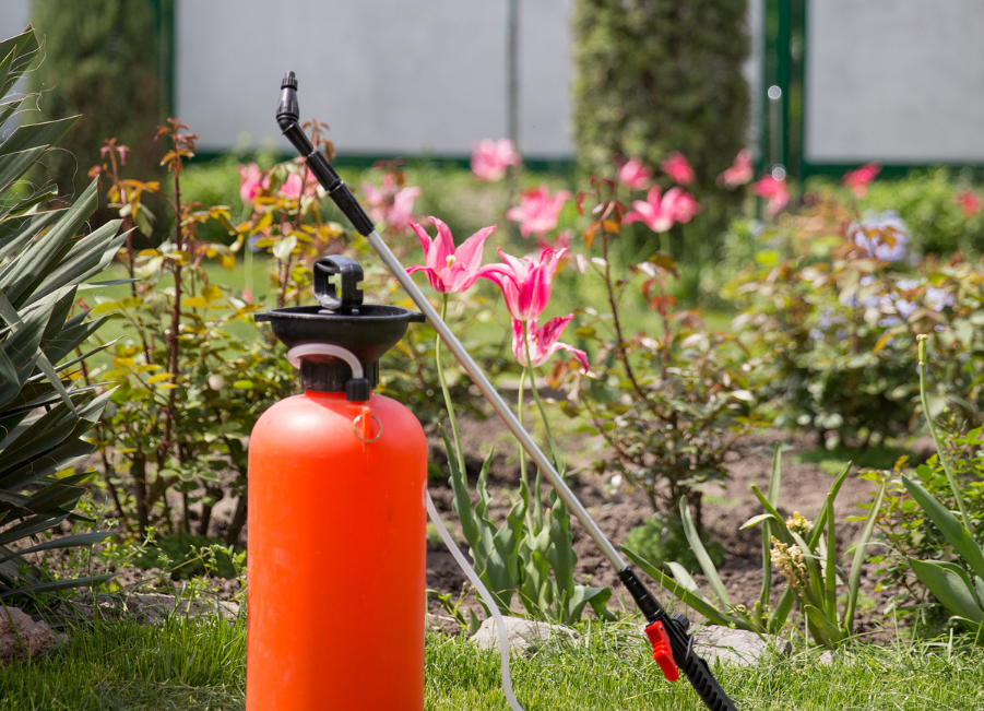 5 alternatives to landscape fabric